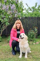 Цуценята золотистого ретрівера Ot Bahur