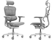 Кресло Ergohuman Luxury 2 EHL2-AB-HAM-5D-L Серый с доставкой